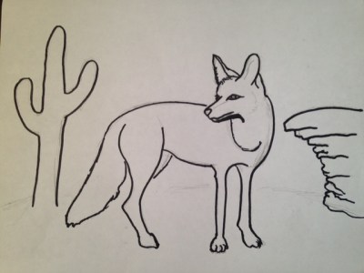 Coyote 1