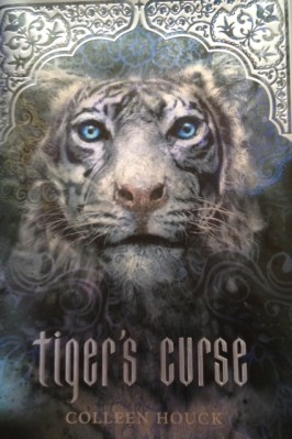 I will admit that the cover art was a big part of the reason why I bought this book.  Don't you go telling me that thing about judging books and covers.  Covers are meant to be judged.  That's the whole point of them.  You shouldn't judge people by their appearance, but books aren't going to get their feelings hurt.