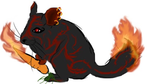 Fire Chinchilla